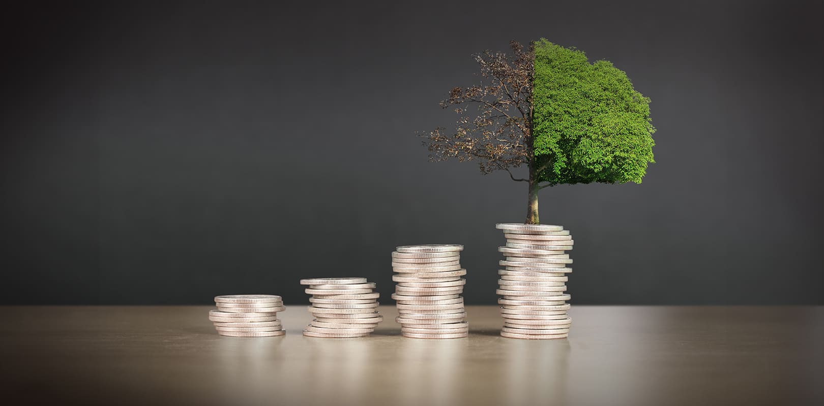 esg investments