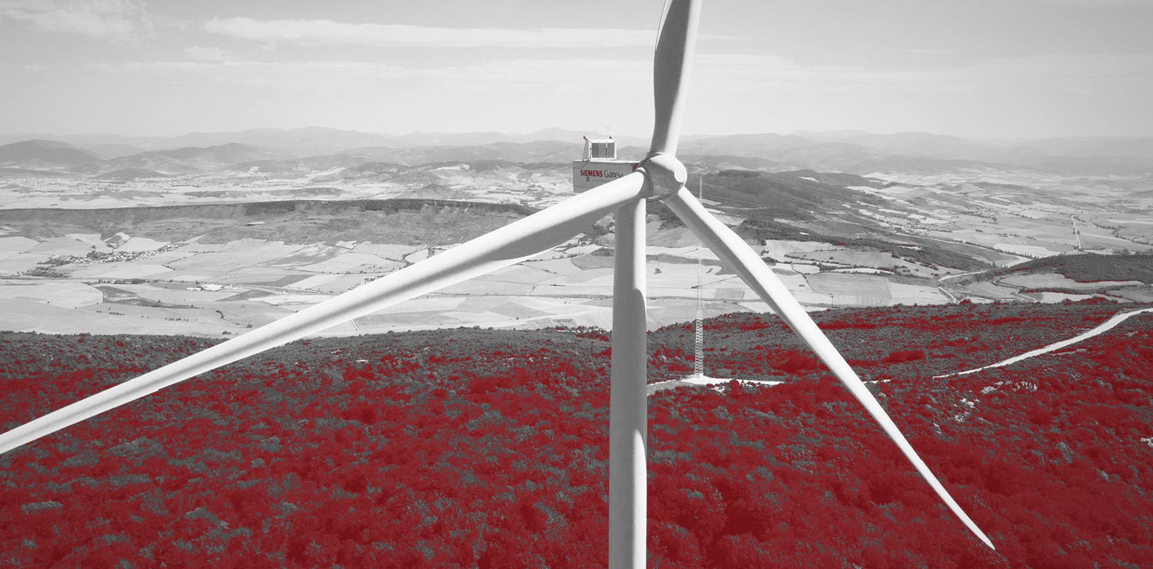 bx analyse blogbild 20260211