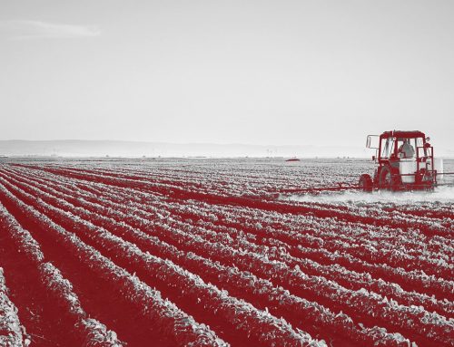 Bayer: Gerichtsurteil sorgt für Euphorie