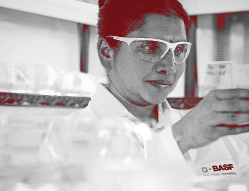 BASF: Konzernumbau trägt Früchte