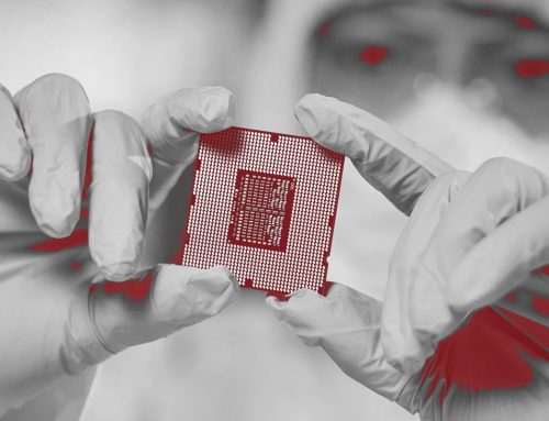 Micron Technology: Konkurrenz aus China wächst